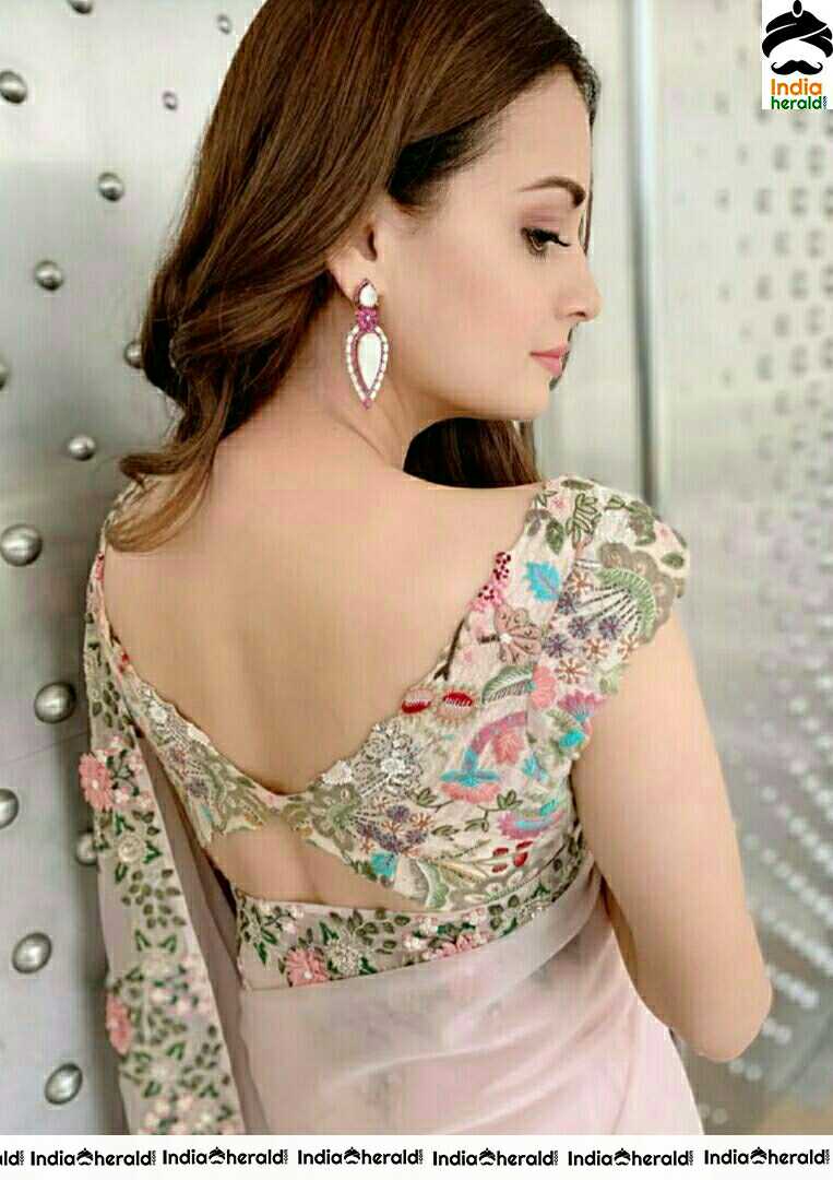 Dia Mirza Looking Hot In Transparent Saree