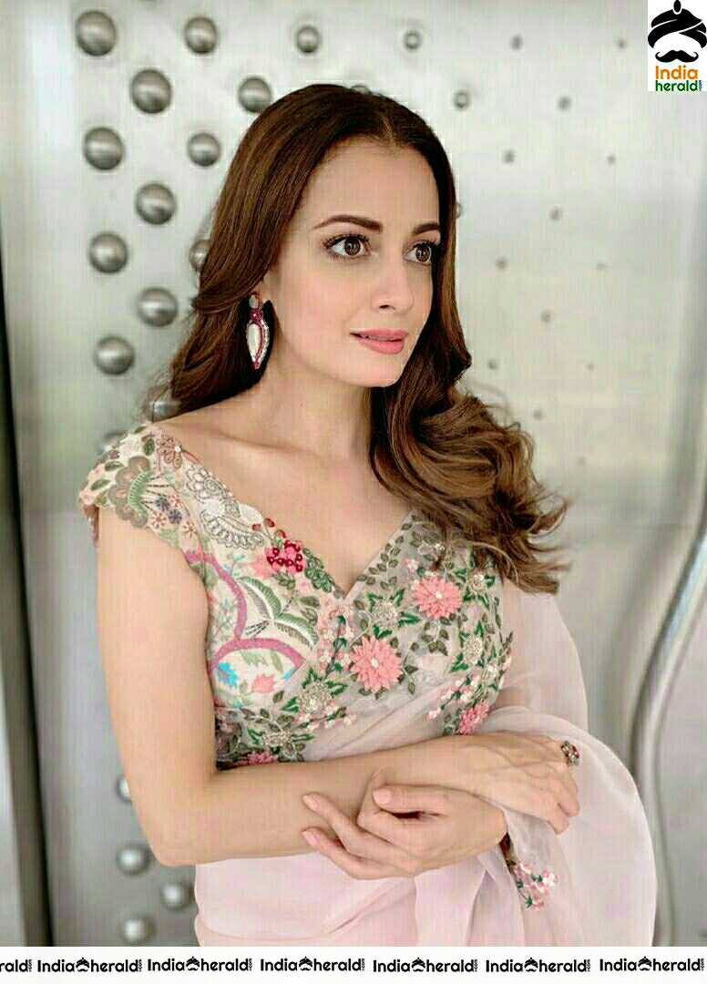 Dia Mirza Looking Hot In Transparent Saree