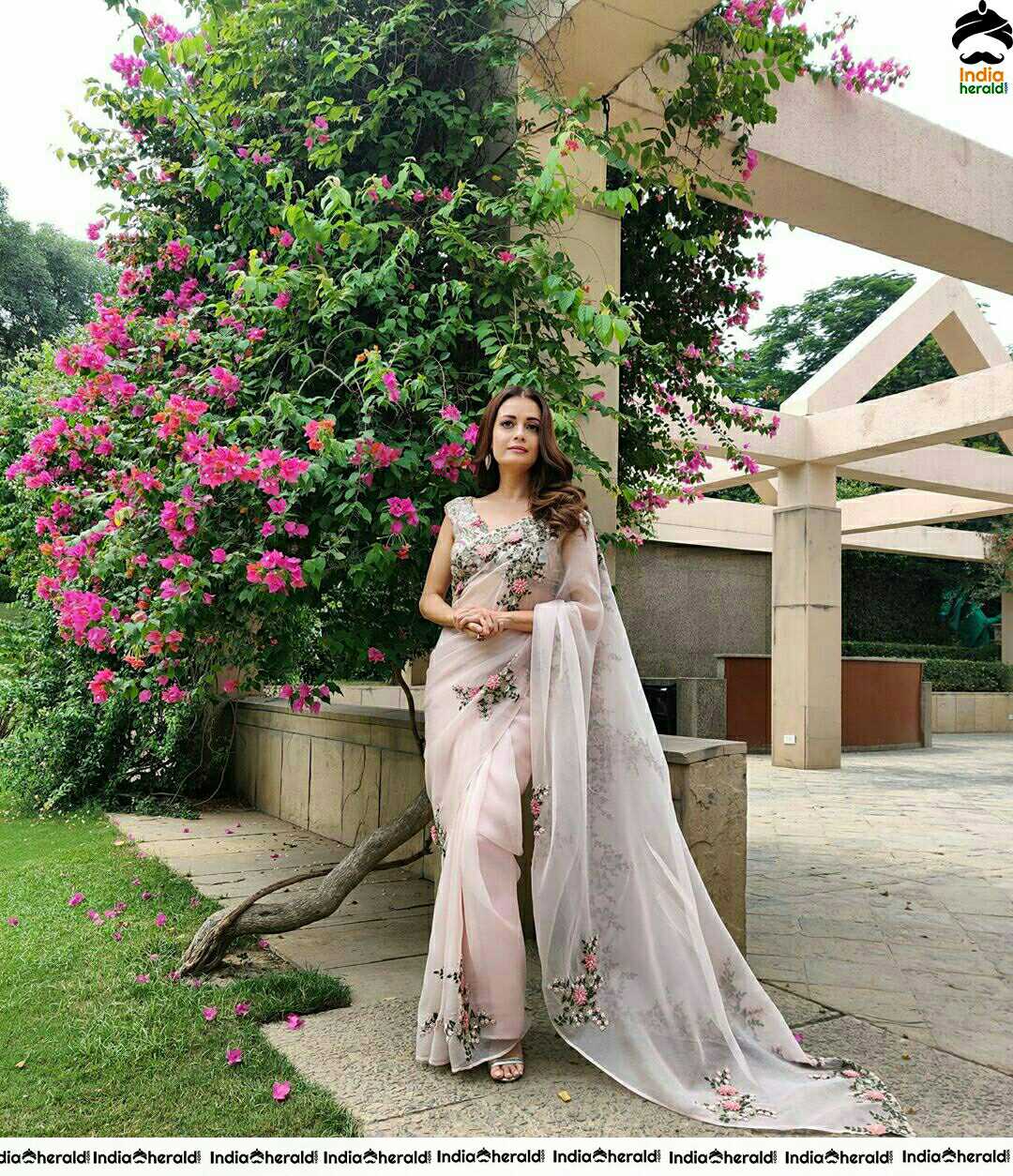 Dia Mirza Looking Hot In Transparent Saree
