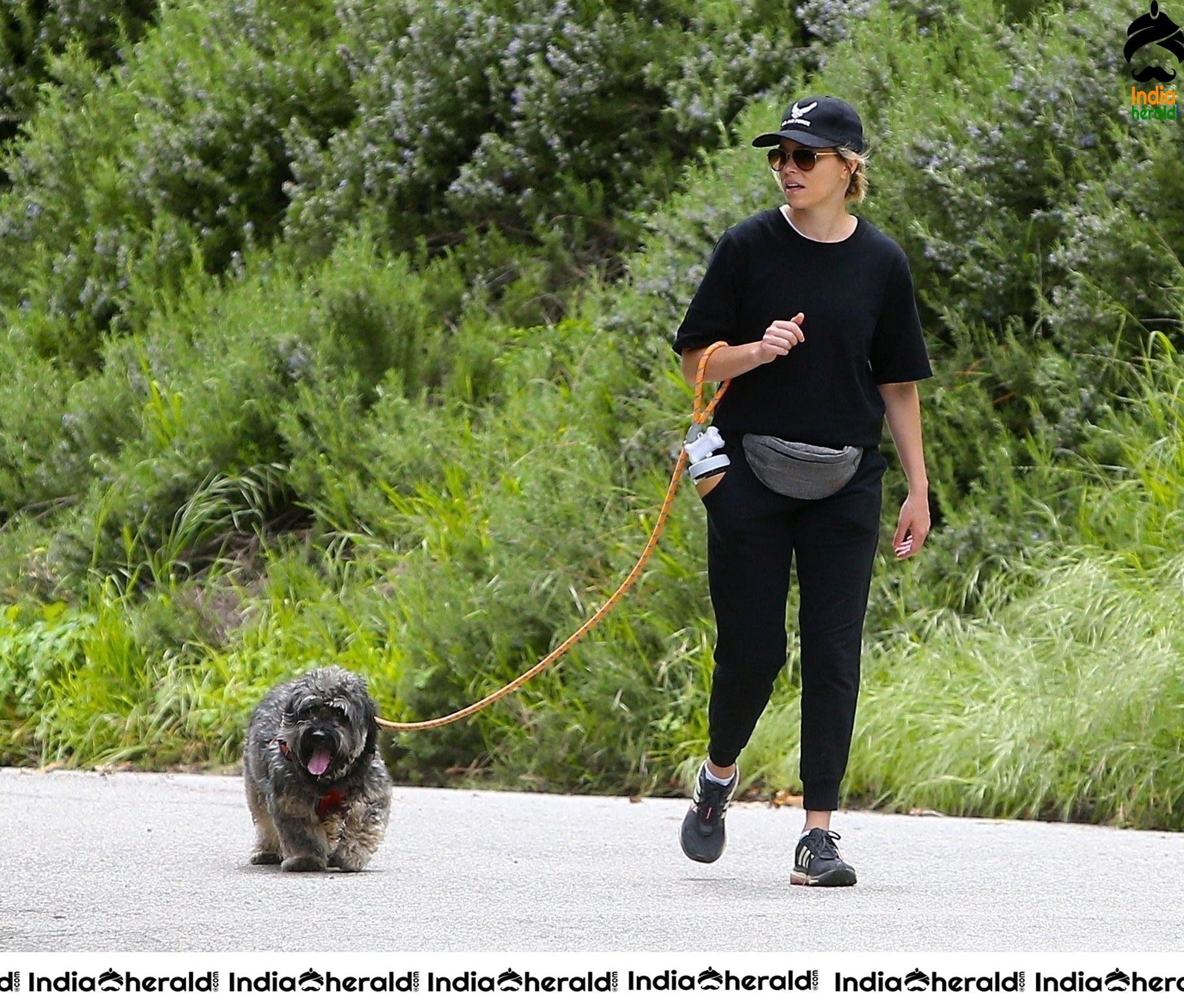 Elizabeth Banks Walks her dog in the Hollywood Hills despite Lockdown due to Corona Virus