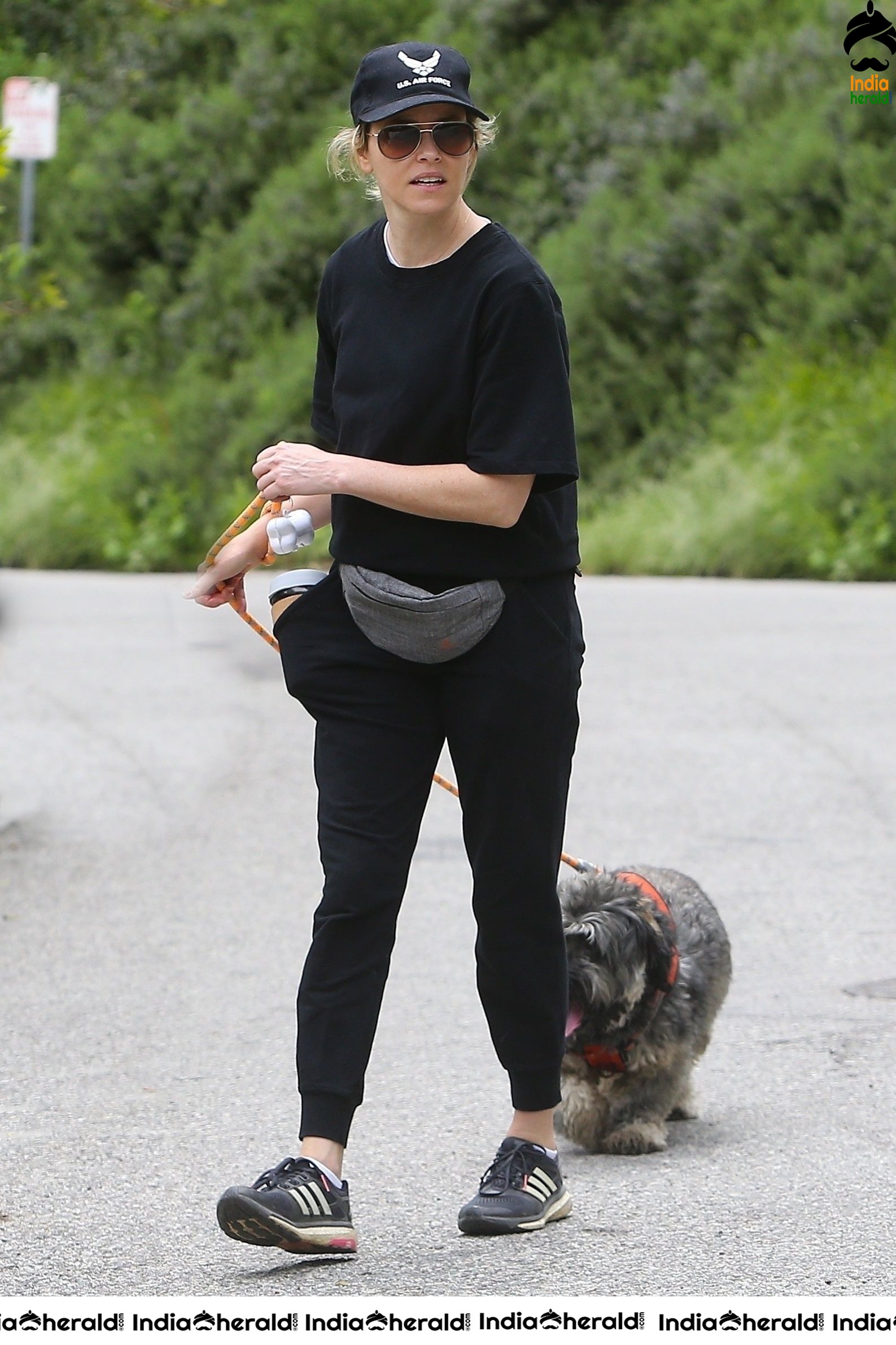 Elizabeth Banks Walks her dog in the Hollywood Hills despite Lockdown due to Corona Virus