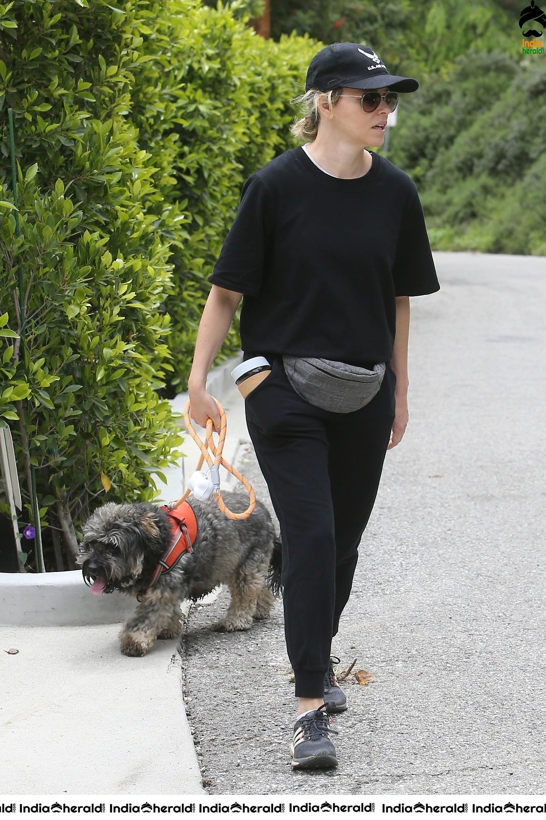 Elizabeth Banks Walks her dog in the Hollywood Hills despite Lockdown due to Corona Virus