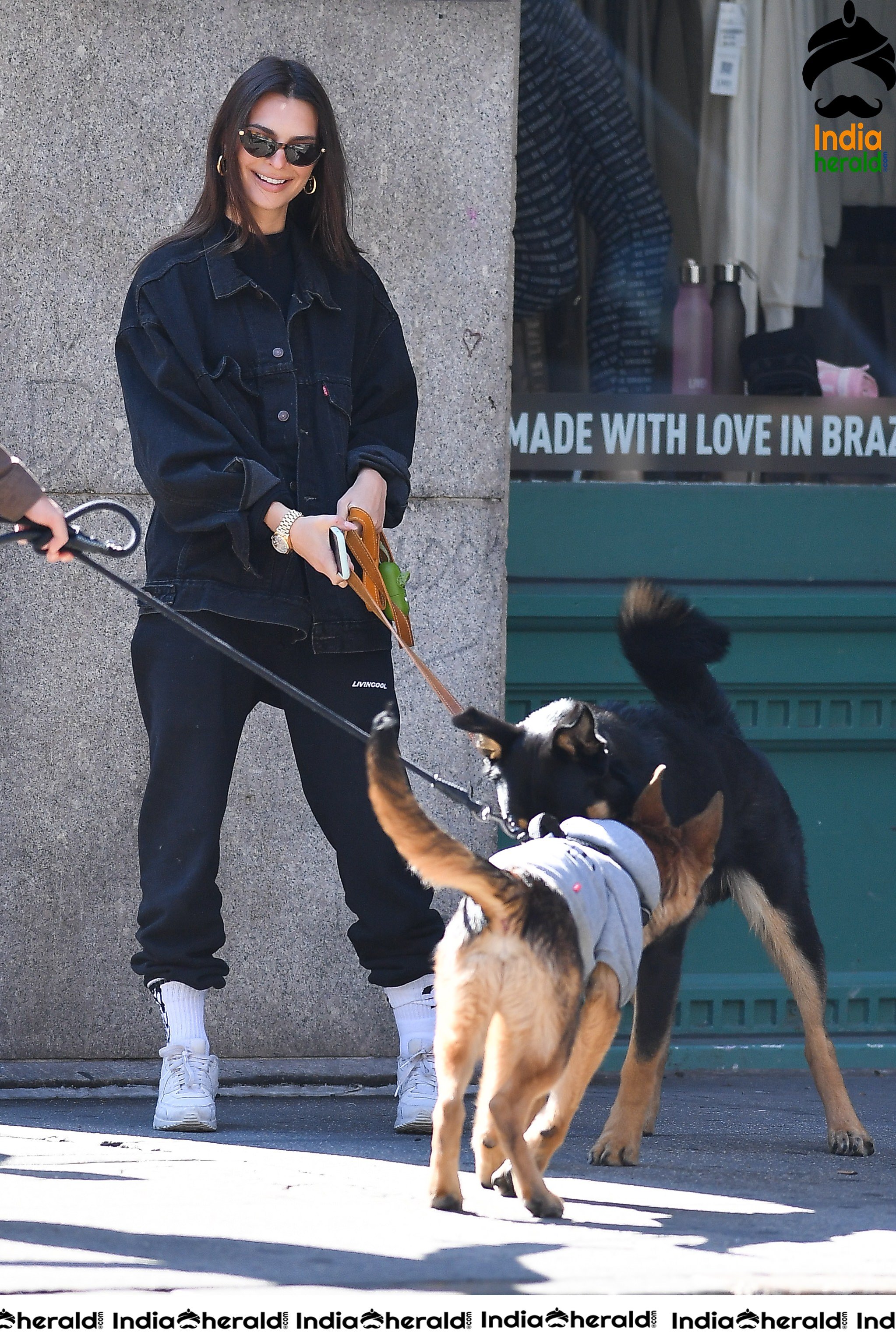 Emily Ratajkowski flaunts her sexy abs while talking a walk with her Dog in New York