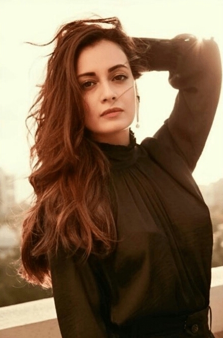 Evelyn Sharma Hot Photoshoot Stills