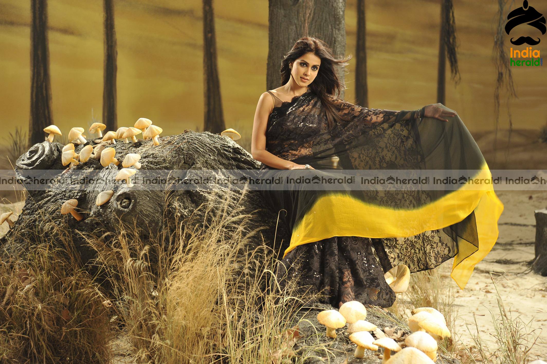 Genelia Latest Hot Exposing HD Photos In Black Transparent Saree