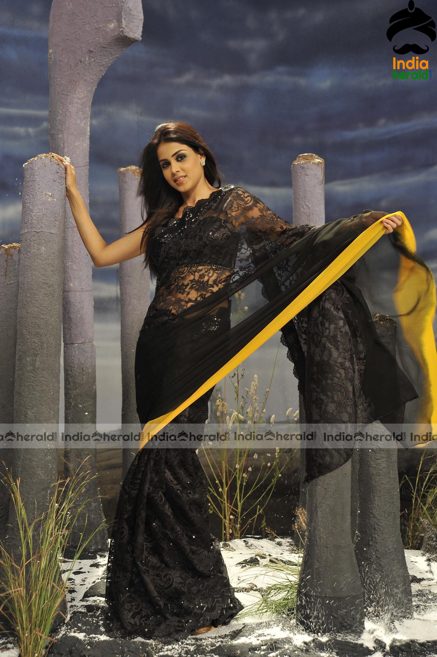Genelia Latest Hot Exposing HD Photos In Black Transparent Saree