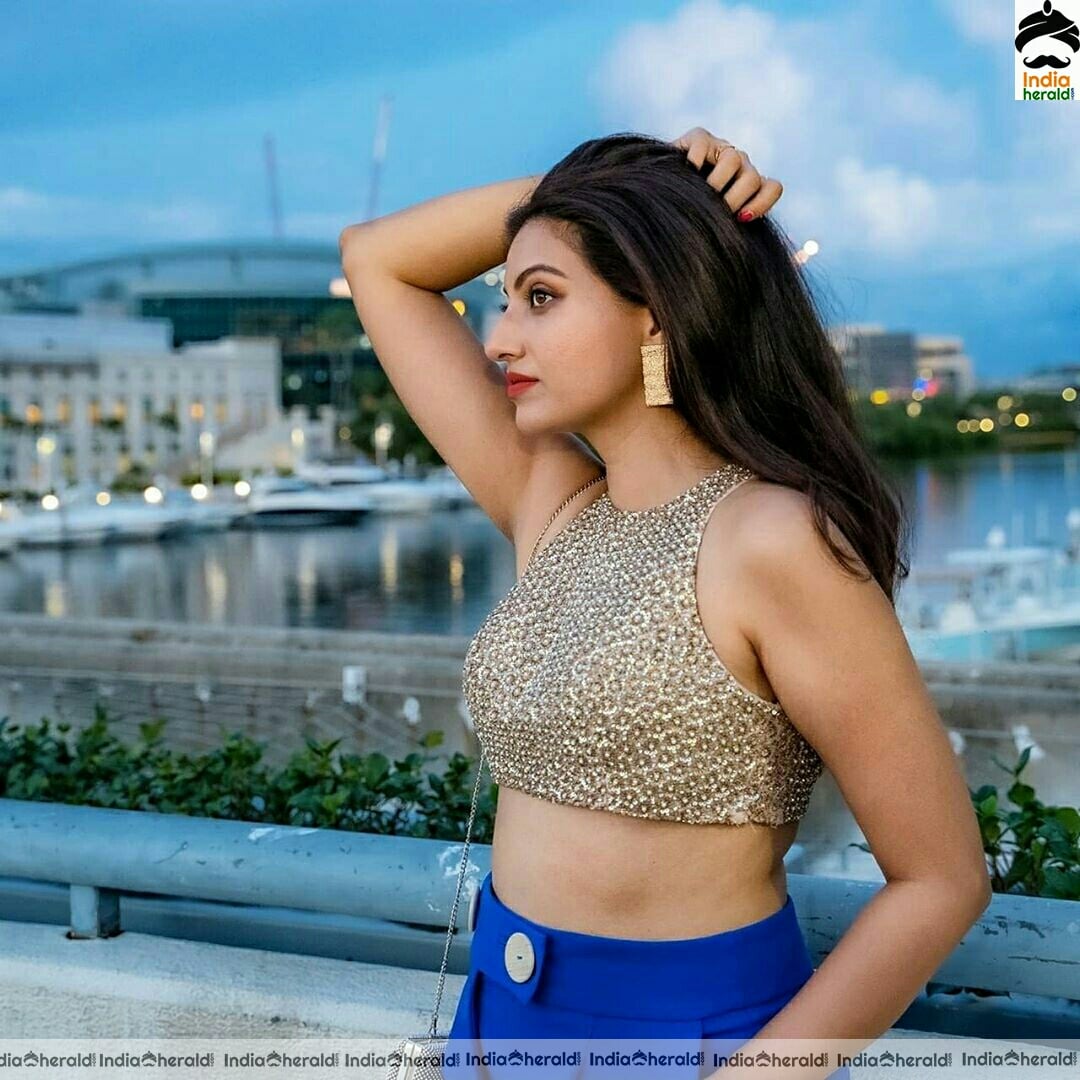 Hamsa Nandini Shows Her Hot Waistline Stills