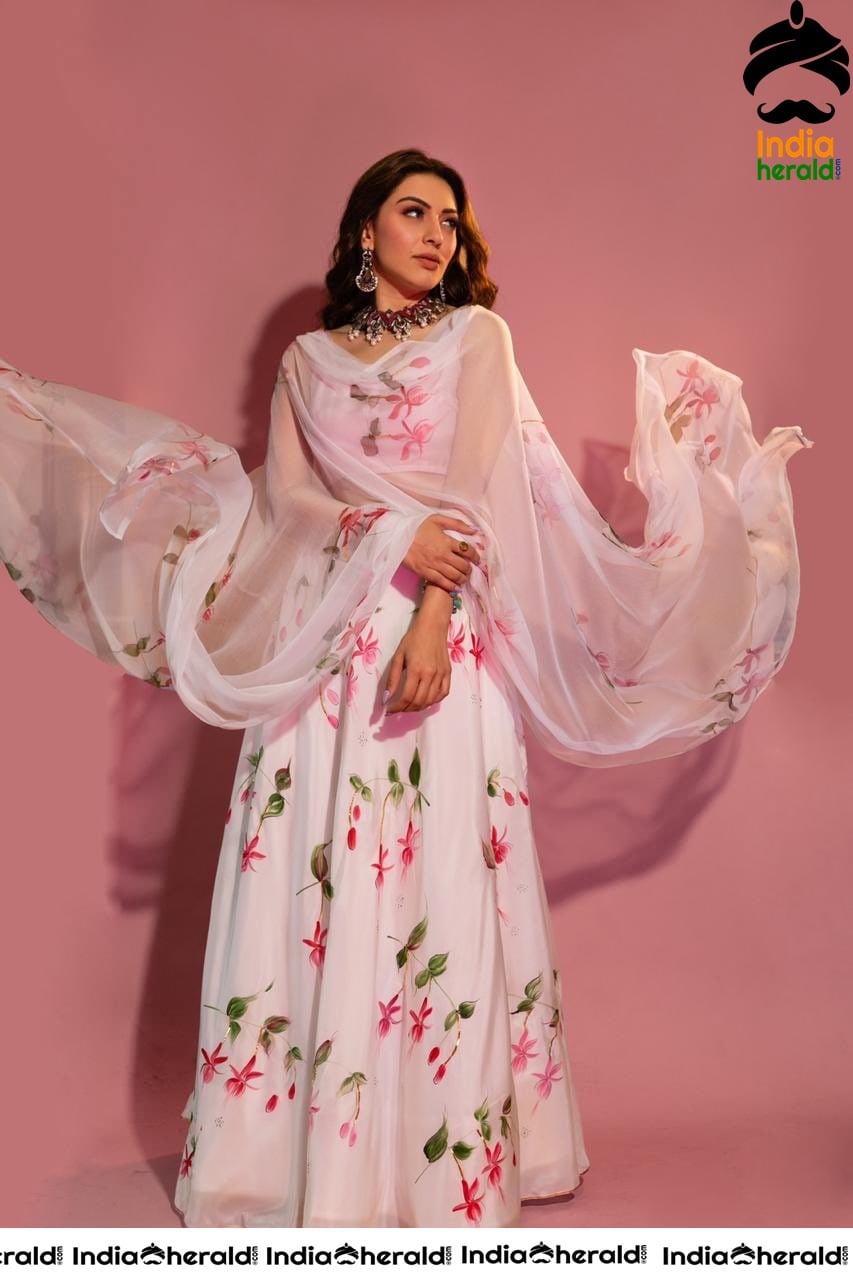 Hansika Looking Angelic in Transparent White Floral Dress