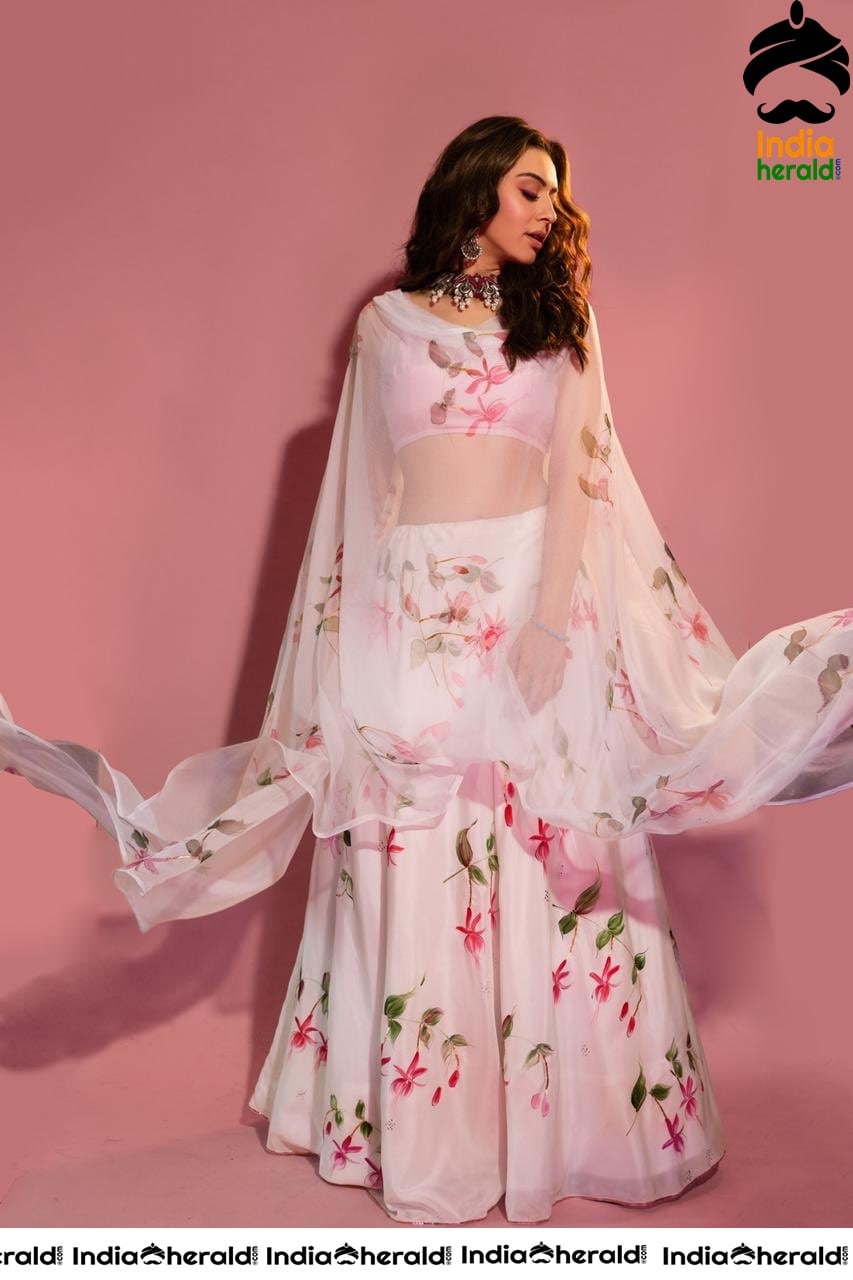 Hansika Looking Angelic in Transparent White Floral Dress