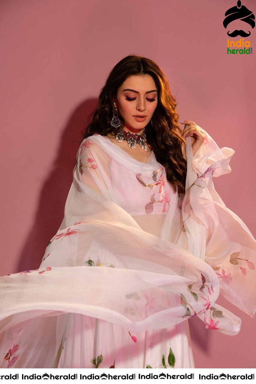 Hansika Looking Angelic in Transparent White Floral Dress