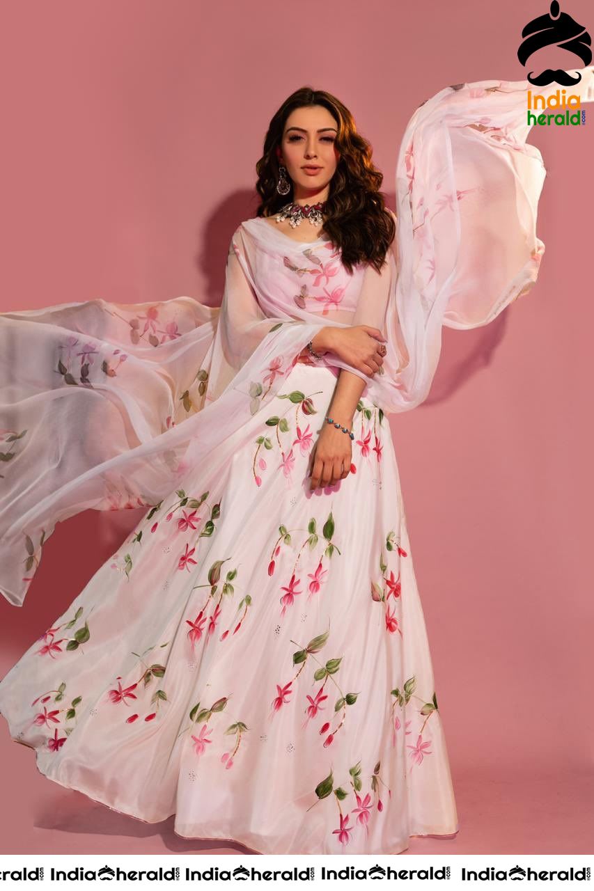 Hansika Looking Angelic in Transparent White Floral Dress