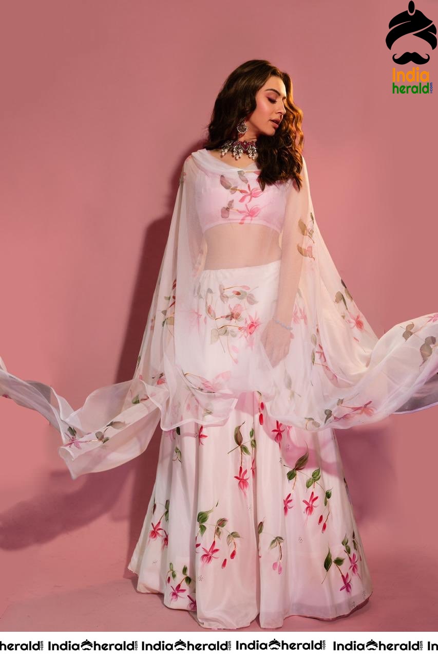 Hansika Motwani Shows her Teasing Waistline in these Recent Stills