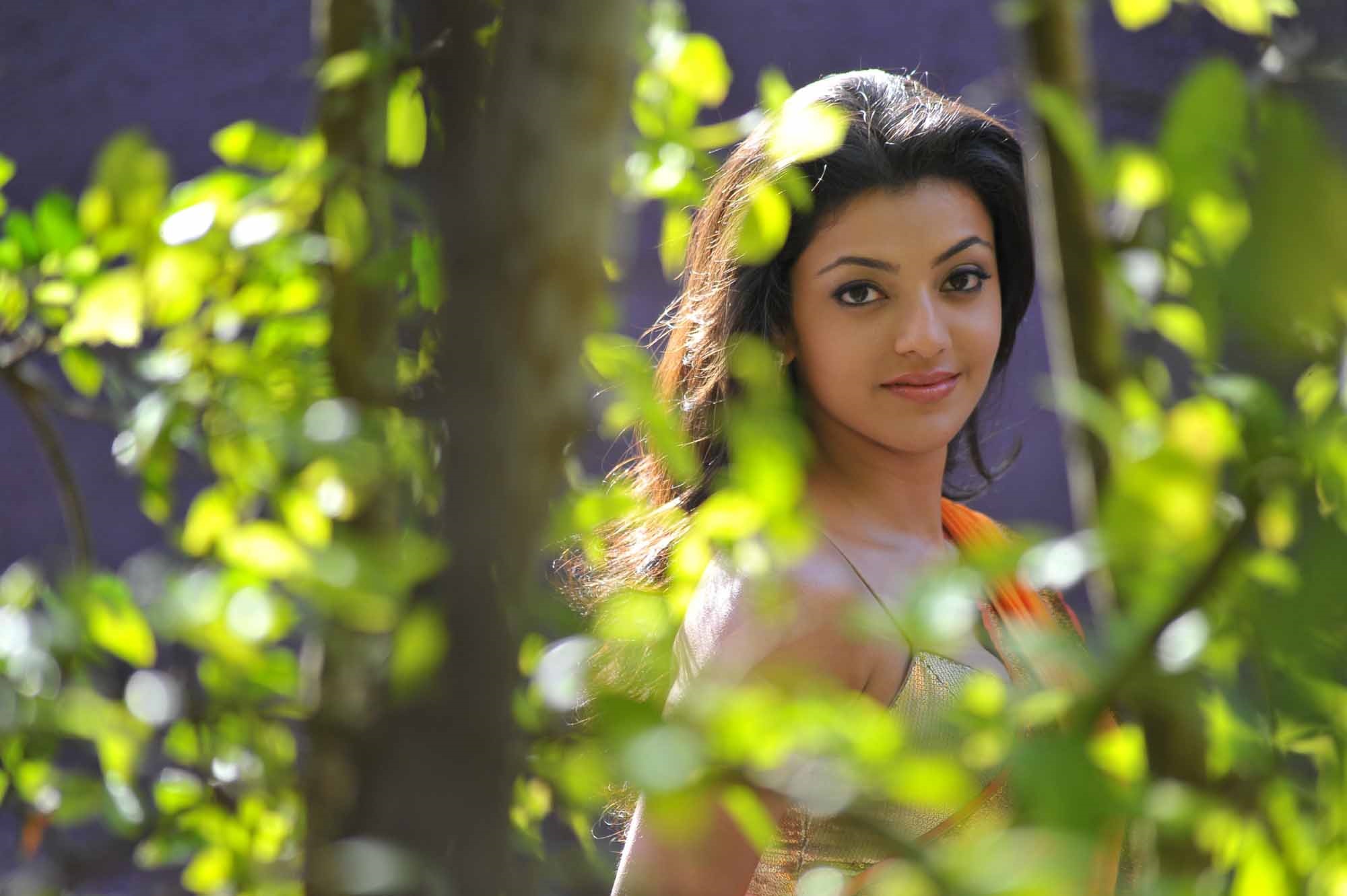 Hot HD photos of Kajal Aggarwal in Saree to tease your mood