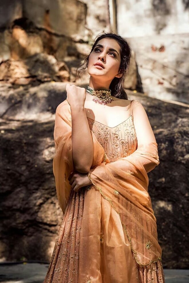 Hot Raashi Khanna Dazzling In Shadows