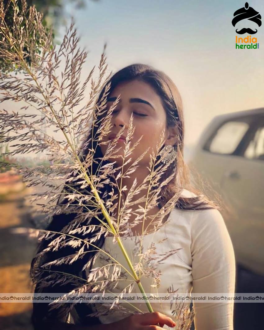 Hot Shalini Pandey Photos compilation Set 2