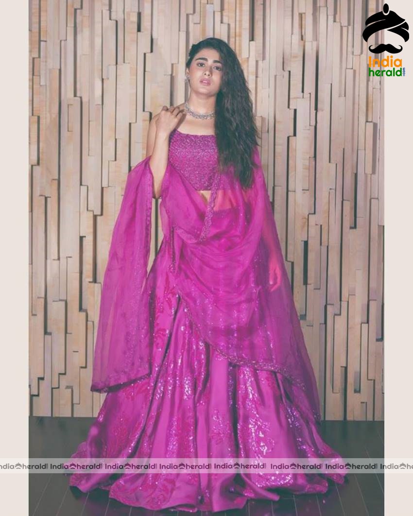 Hot Shalini Pandey Photos compilation Set 2