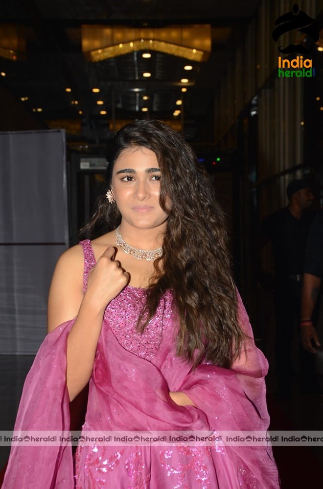 Hot Shalini Pandey Photos compilation Set 3
