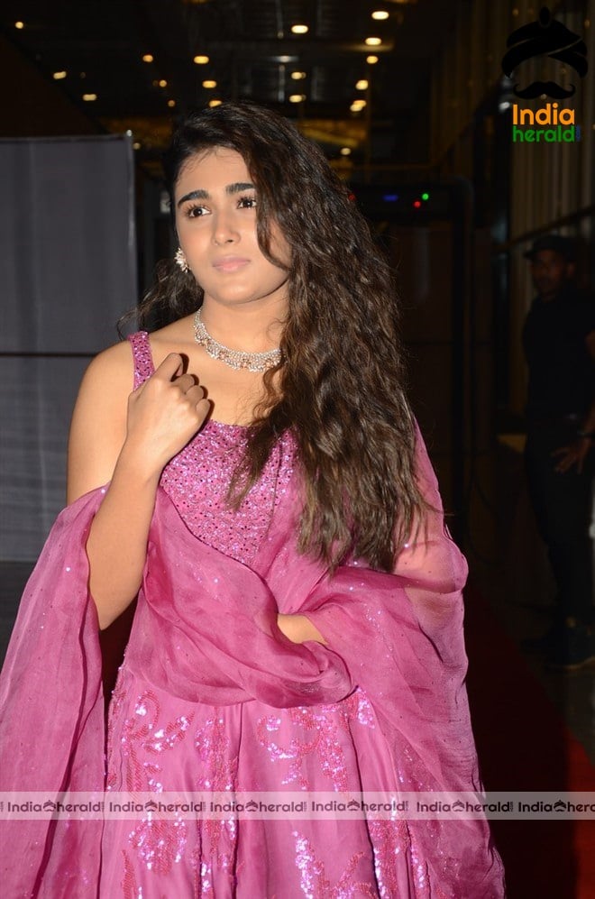Hot Shalini Pandey Photos compilation Set 3