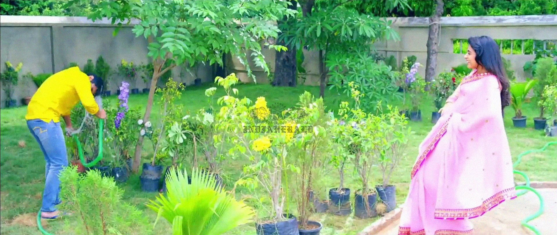 Hottest Photos of Trisha getting Wet and stripping her Saree Set 1