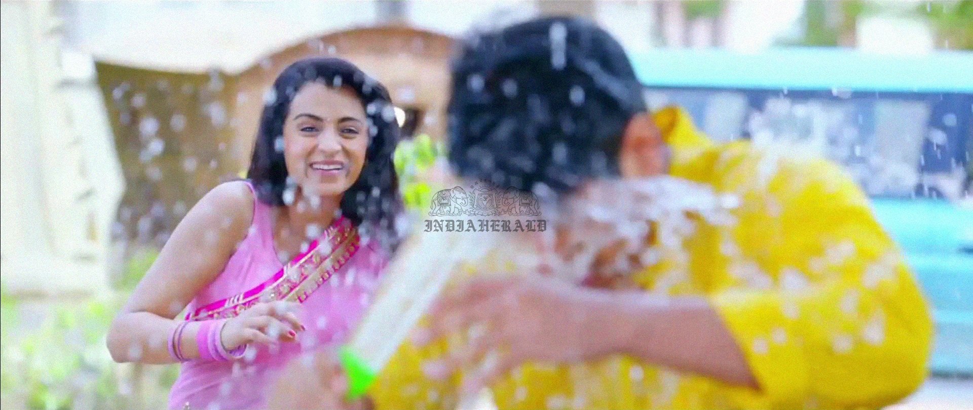 Hottest Photos of Trisha getting Wet and stripping her Saree Set 1