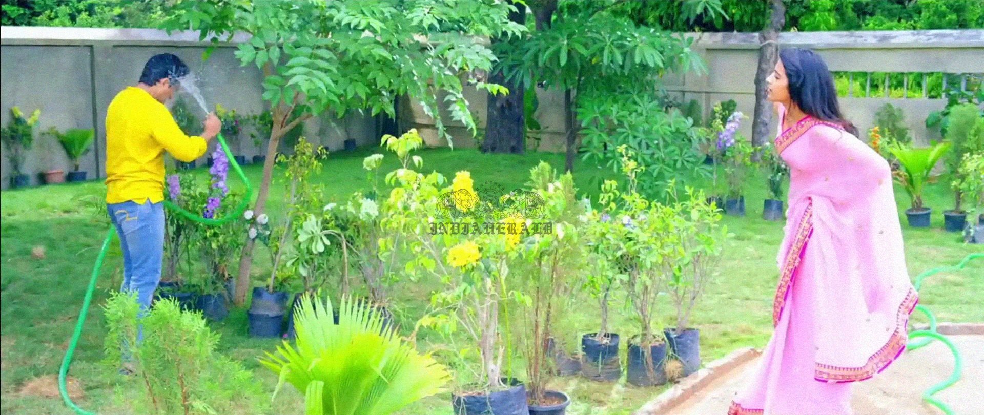 Hottest Photos of Trisha getting Wet and stripping her Saree Set 1