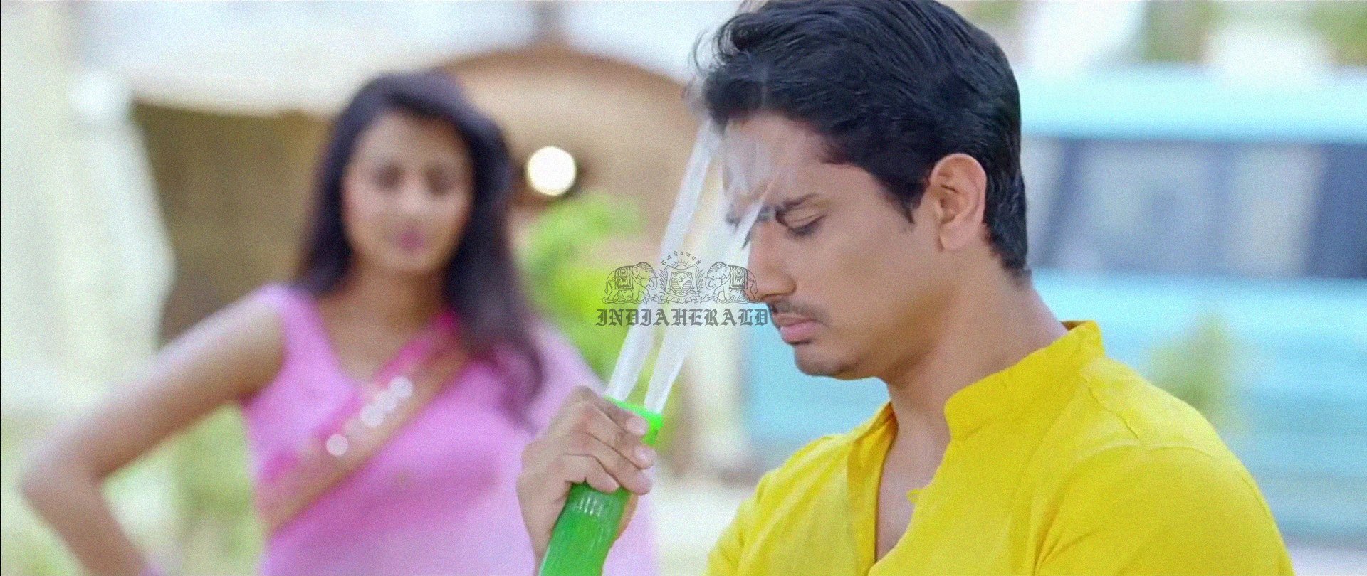 Hottest Photos of Trisha getting Wet and stripping her Saree Set 1