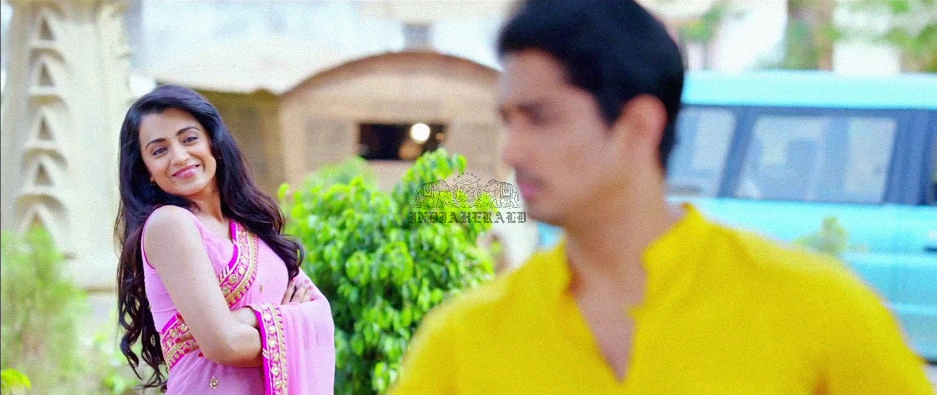 Hottest Photos of Trisha getting Wet and stripping her Saree Set 1