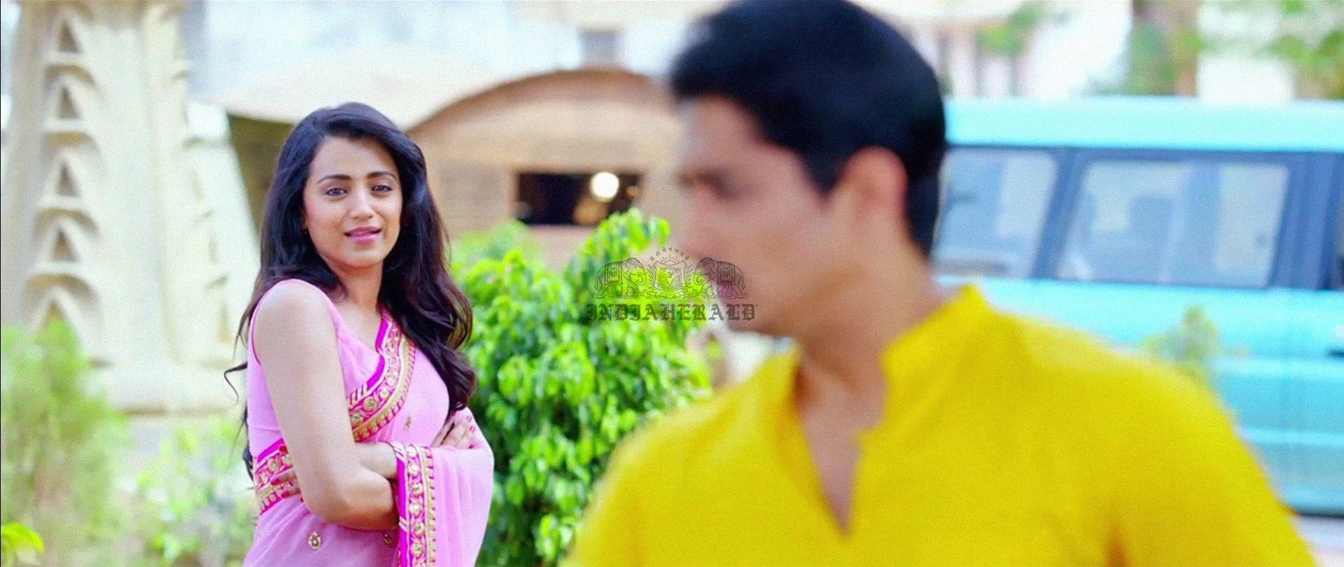 Hottest Photos of Trisha getting Wet and stripping her Saree Set 1