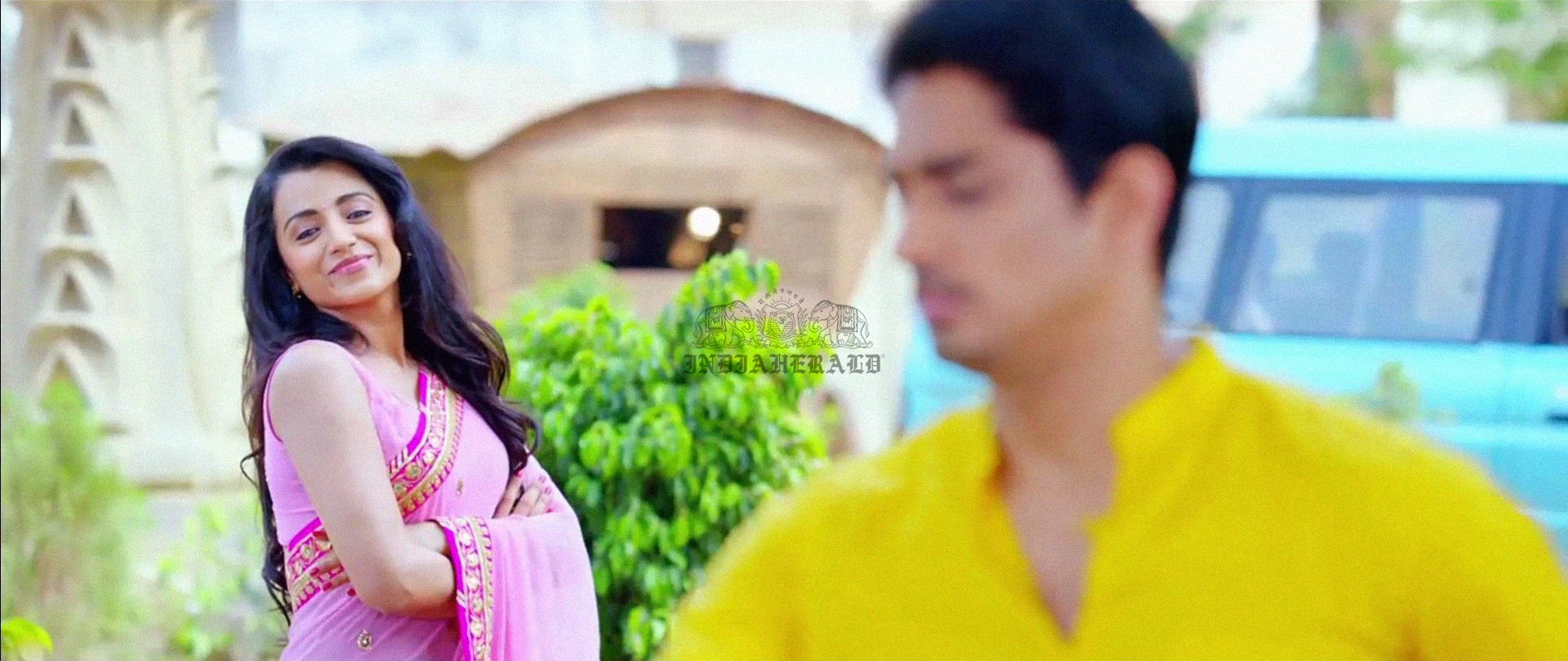 Hottest Photos of Trisha getting Wet and stripping her Saree Set 1