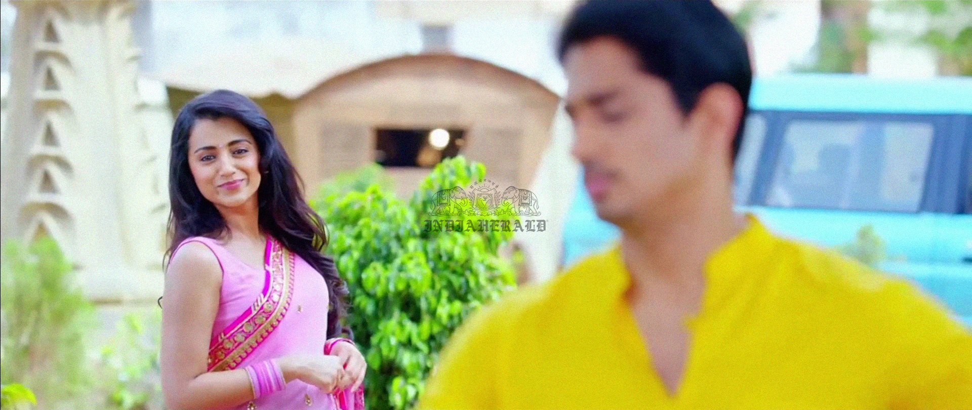 Hottest Photos of Trisha getting Wet and stripping her Saree Set 1