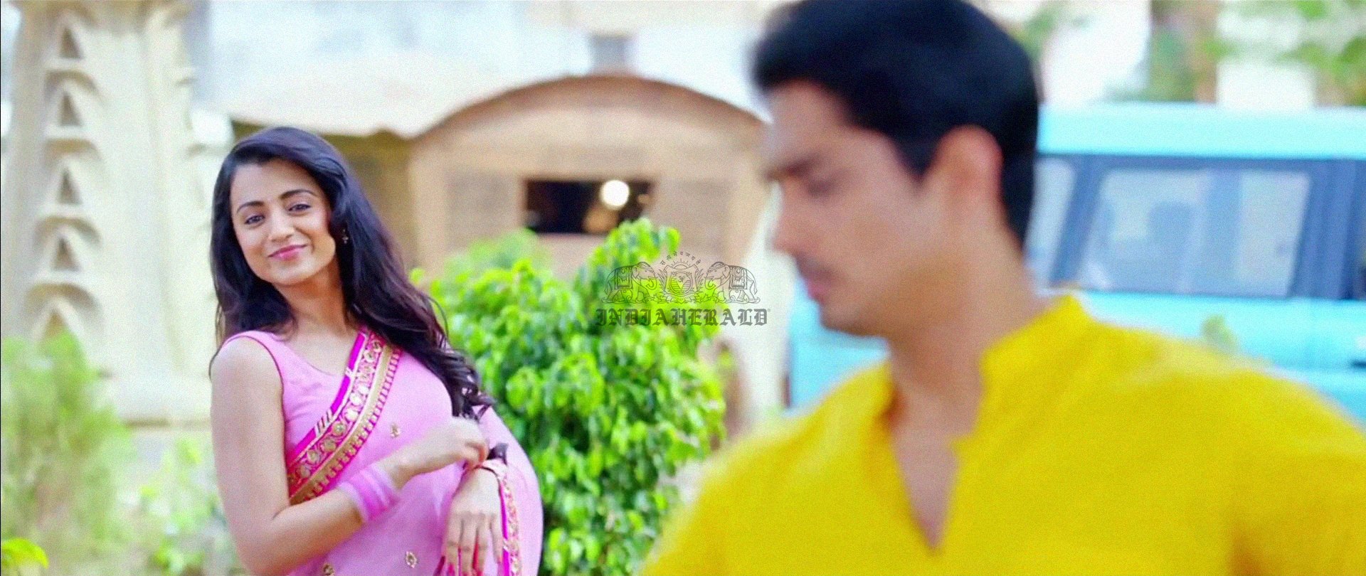 Hottest Photos of Trisha getting Wet and stripping her Saree Set 1