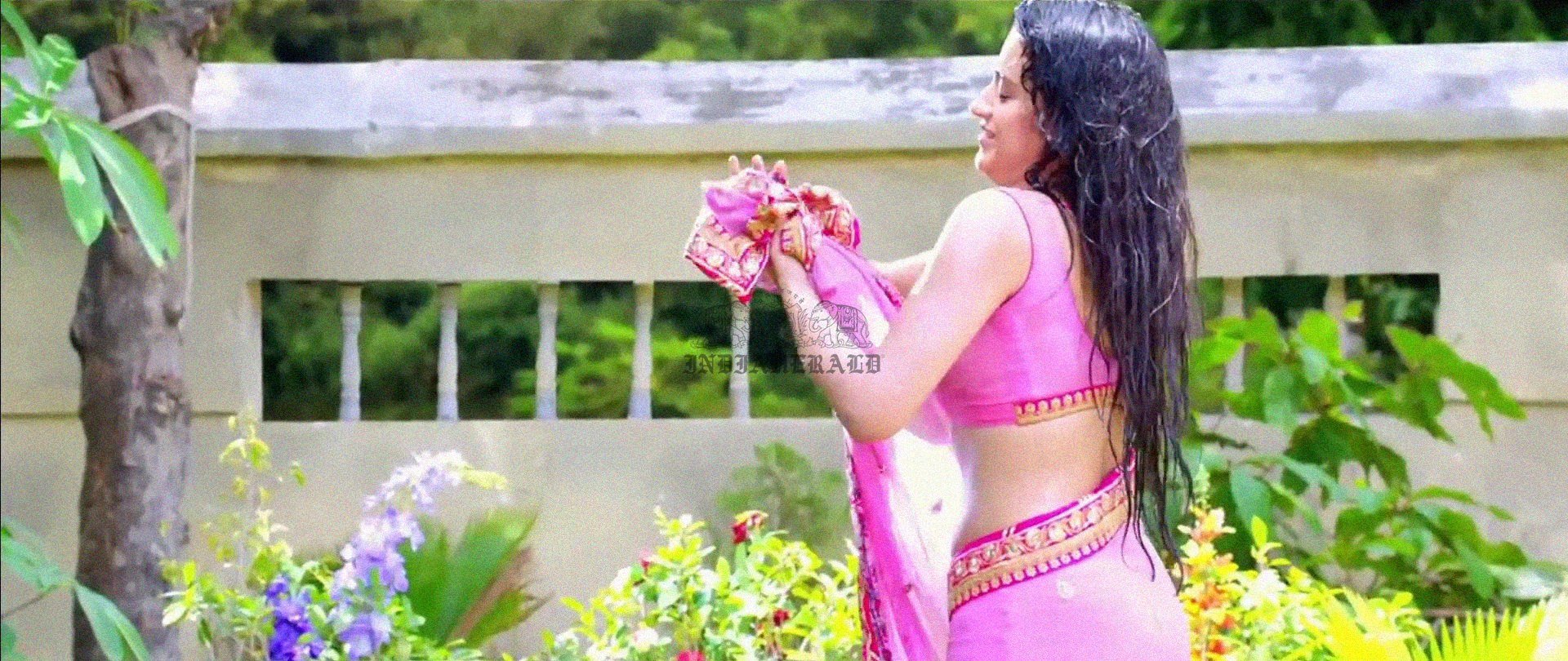 Hottest Photos of Trisha Getting Wet and Stripping Her Saree Set 2
