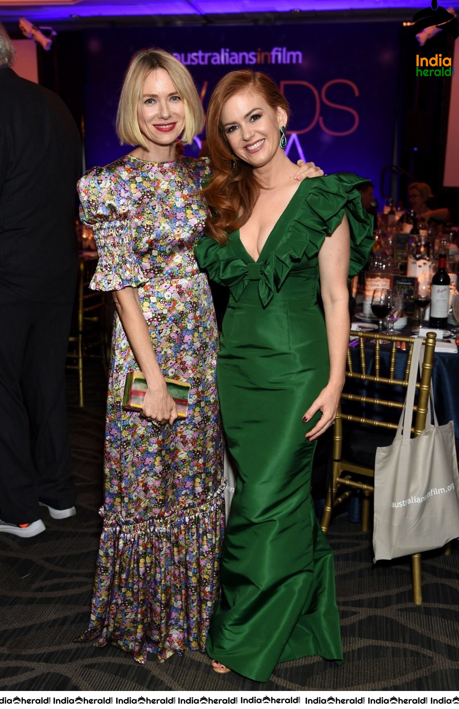 Isla Fisher at 2019 Australians In Film Awards at Los Angeles Set 1