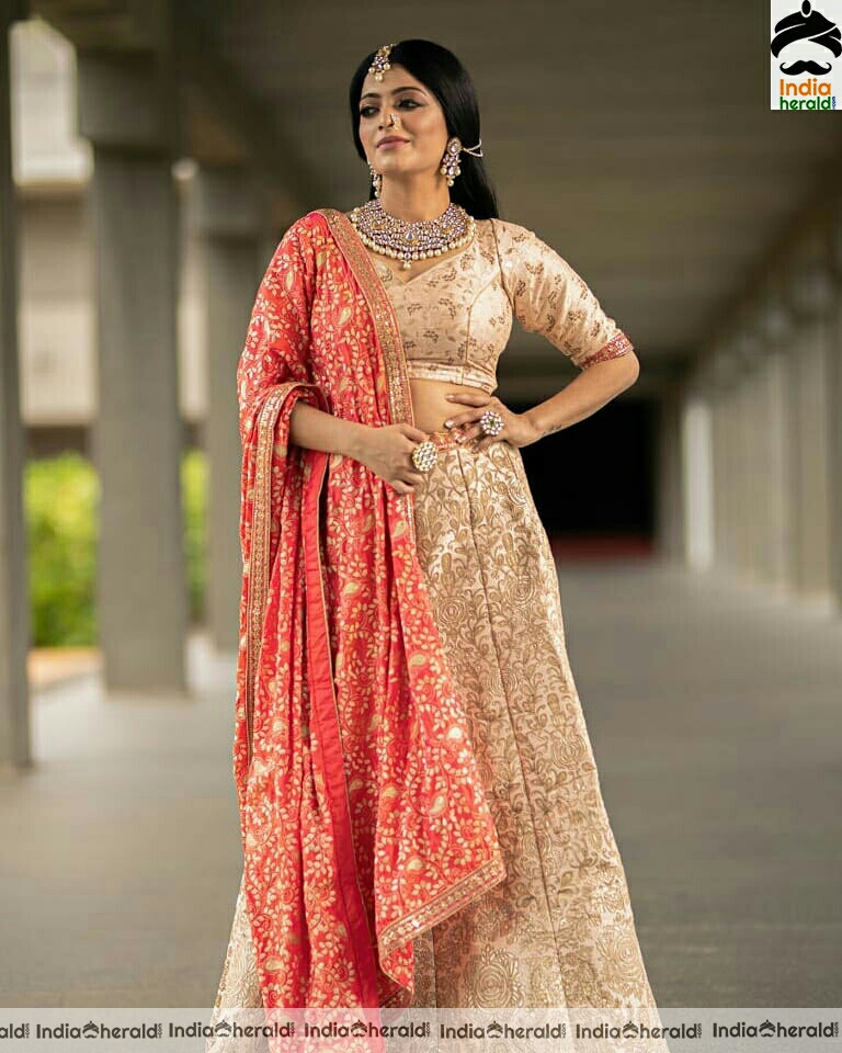 Janani Iyer traditional photos in saree