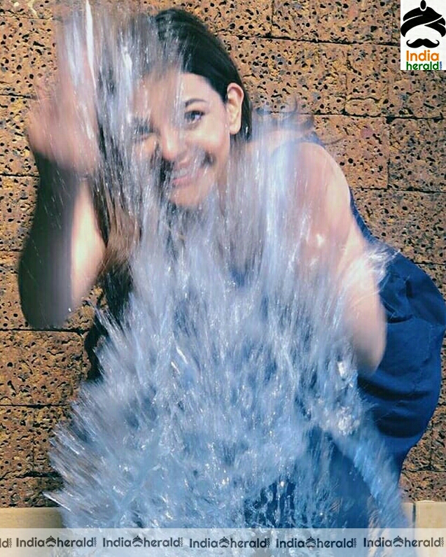 Kajal Aggarwal Cute And Hot Latest Blue Frock Stills