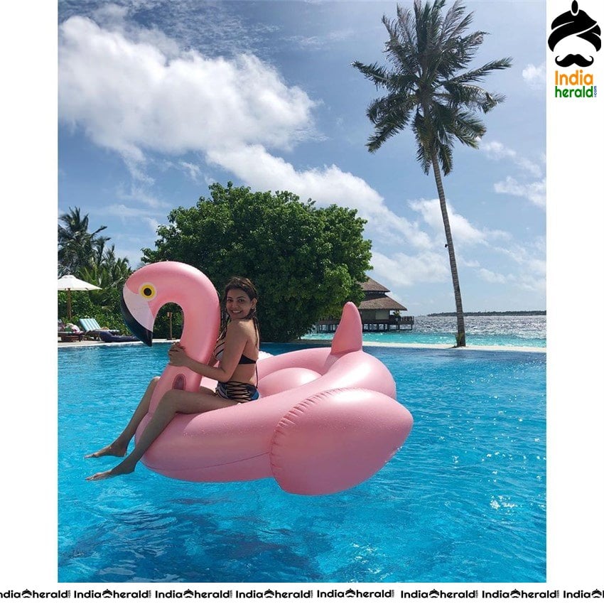 Kajal Aggarwal Latest Hot and Cute Photos Collection Set 1