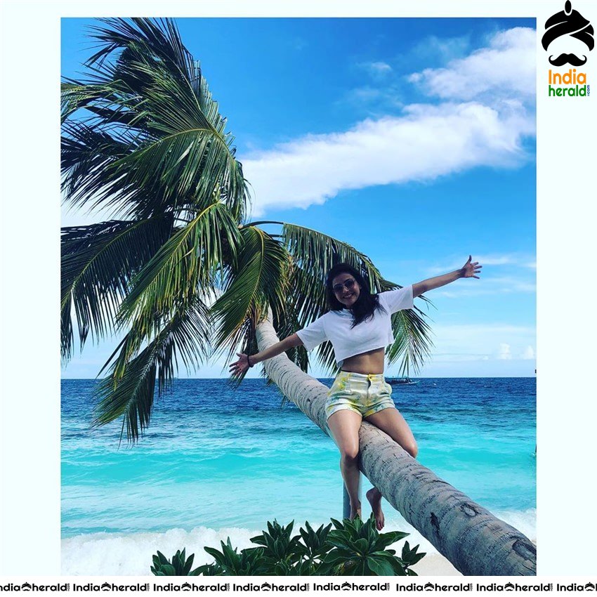 Kajal Aggarwal Latest Hot and Cute Photos Collection Set 2