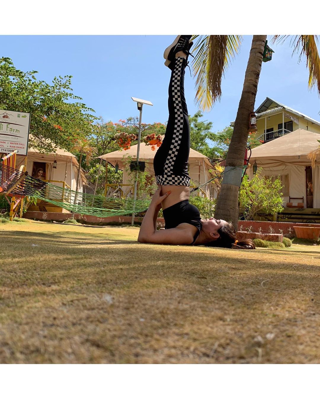 Kangna Sharma Showing Her Yoga Skills