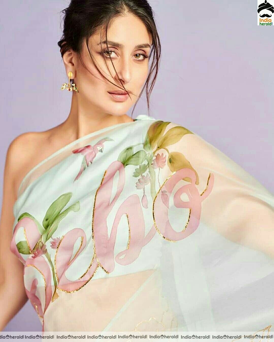 Kareena Kapoor Hot Transparent Sleeveless Blouse Saree Stills