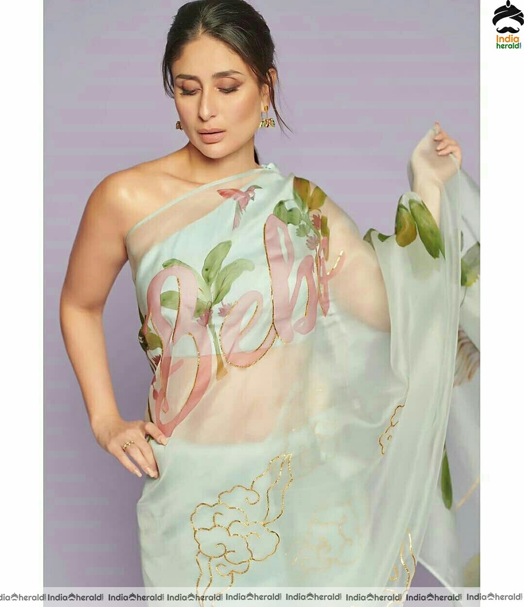 Kareena Kapoor Hot Transparent Sleeveless Blouse Saree Stills