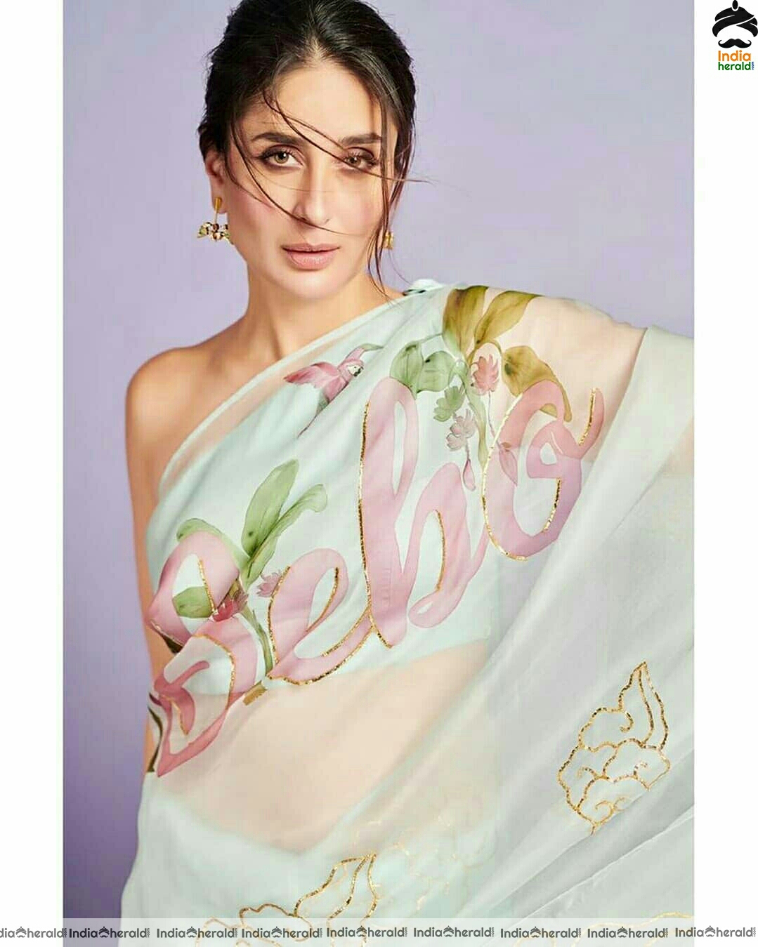 Kareena Kapoor Hot Transparent Sleeveless Blouse Saree Stills