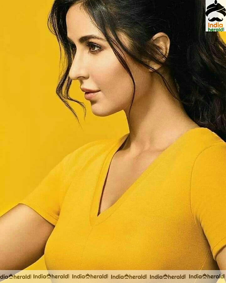 Katrina kaif Hot Compilation Photo Stills