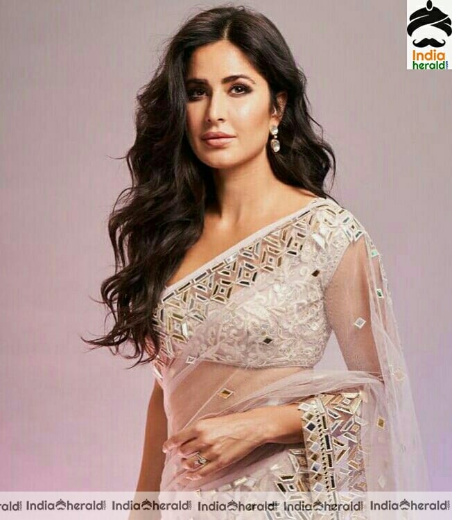 Katrina kaif Hot In White Net Transparent Saree Stills