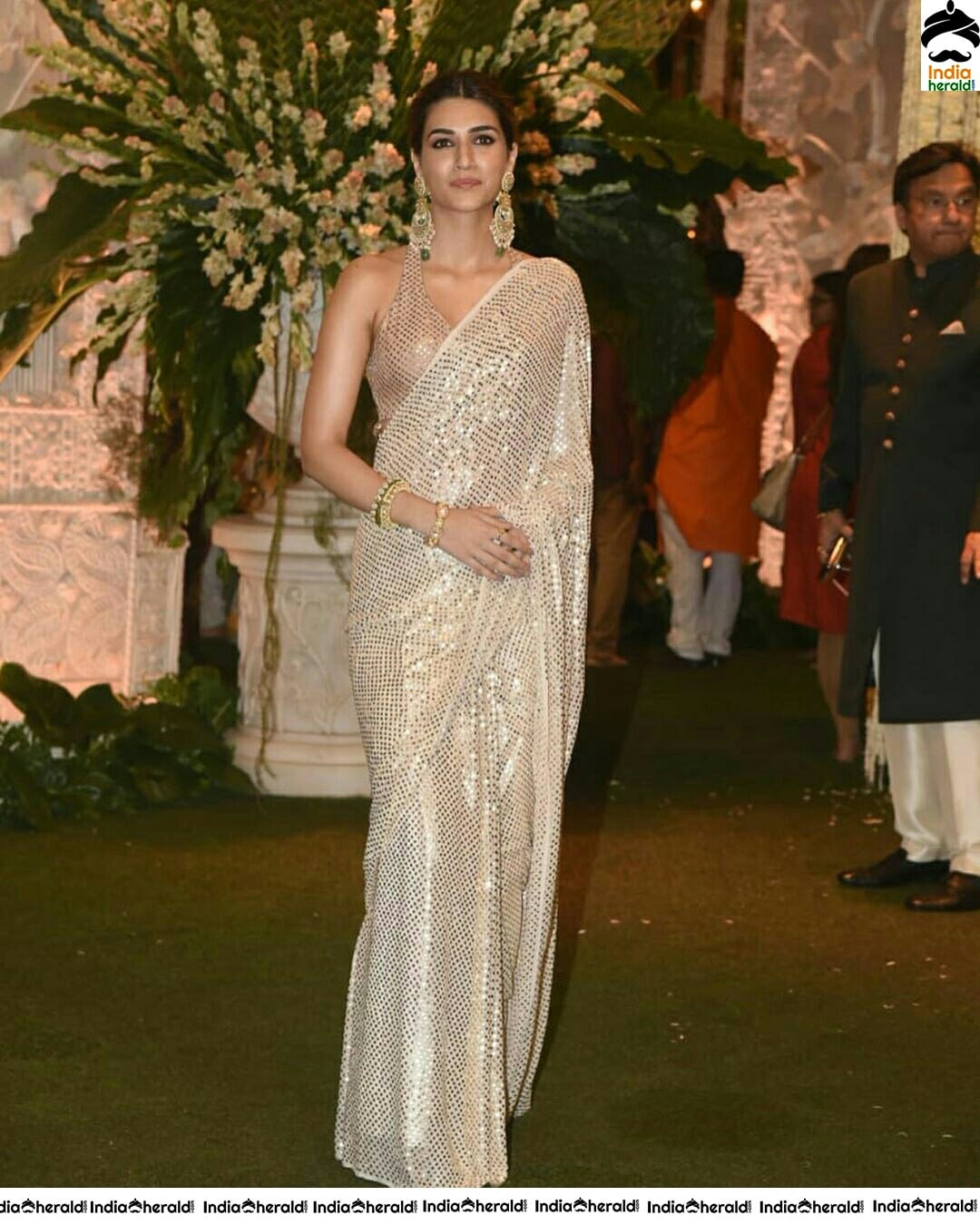 Kristi Sanon Hot In Sleeveless Blouse And Glitter Saree