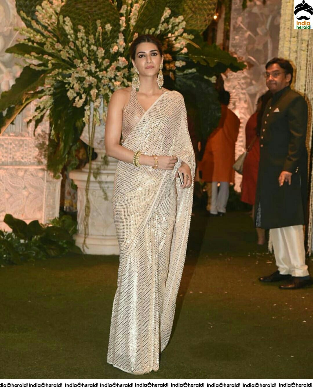 Kristi Sanon Hot In Sleeveless Blouse And Glitter Saree