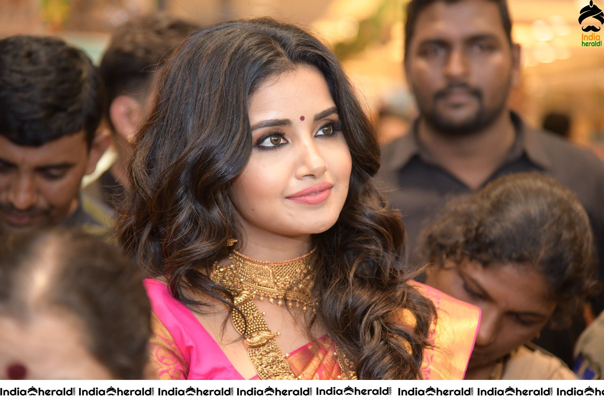 Latest Hot Compilation of Photos of Anupama Parameswaran in Saree Set 1