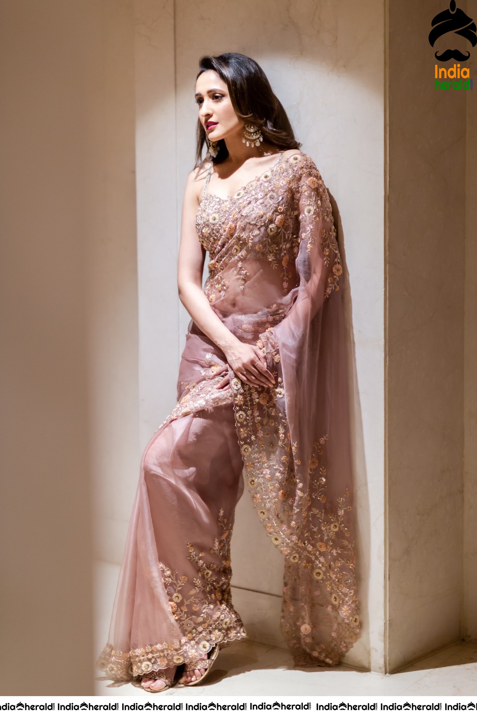 Latest Hot Photos of Pragya Jaiswal in Transparent Saree Set 1