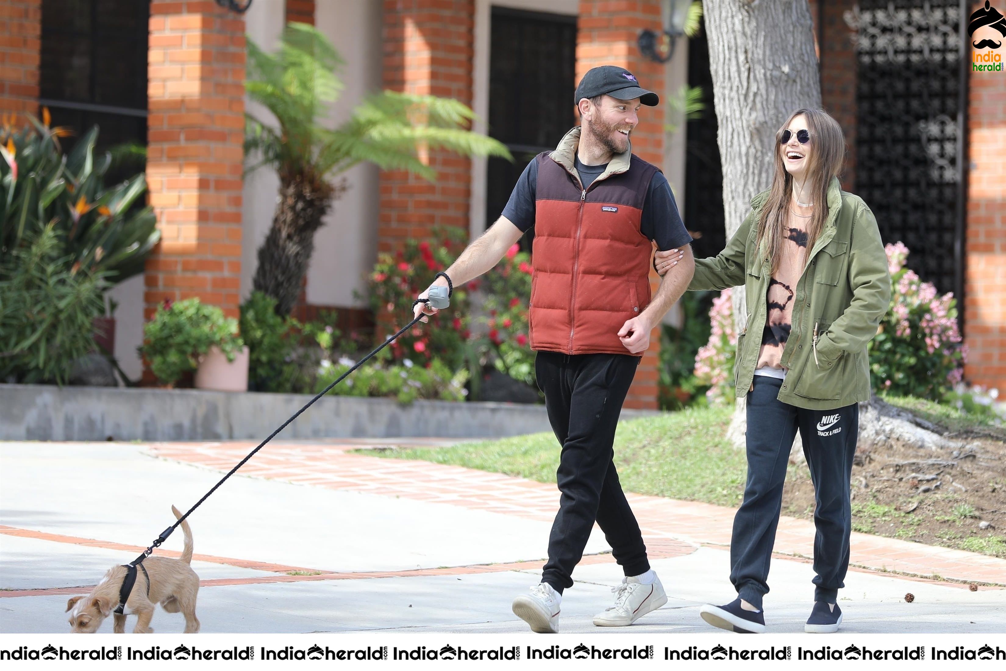 Lily Collins caught by Paparazzi while walking with her dog in Los Angeles