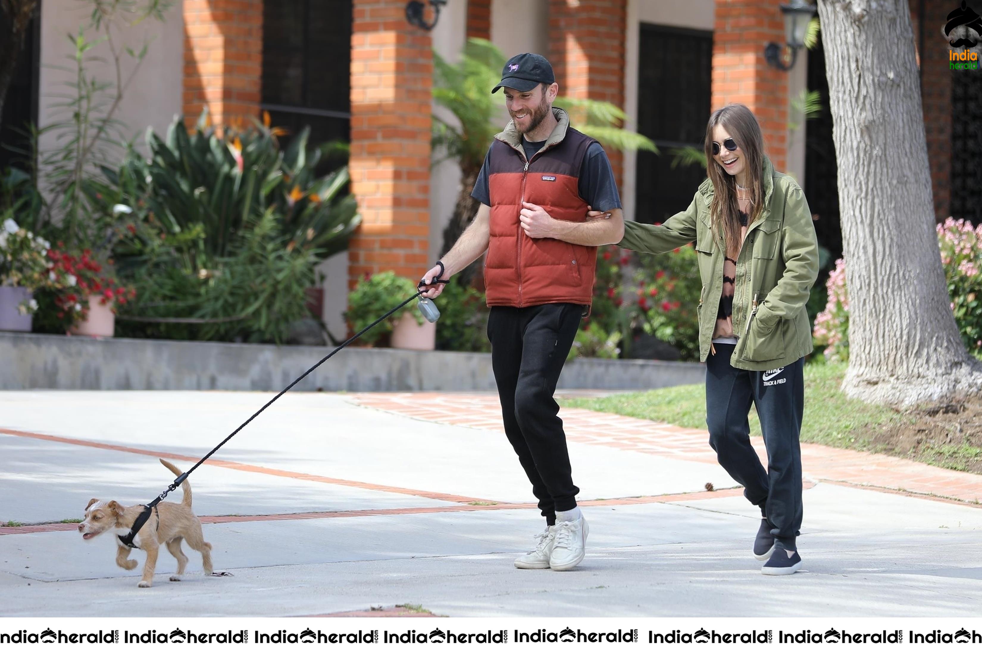 Lily Collins caught by Paparazzi while walking with her dog in Los Angeles