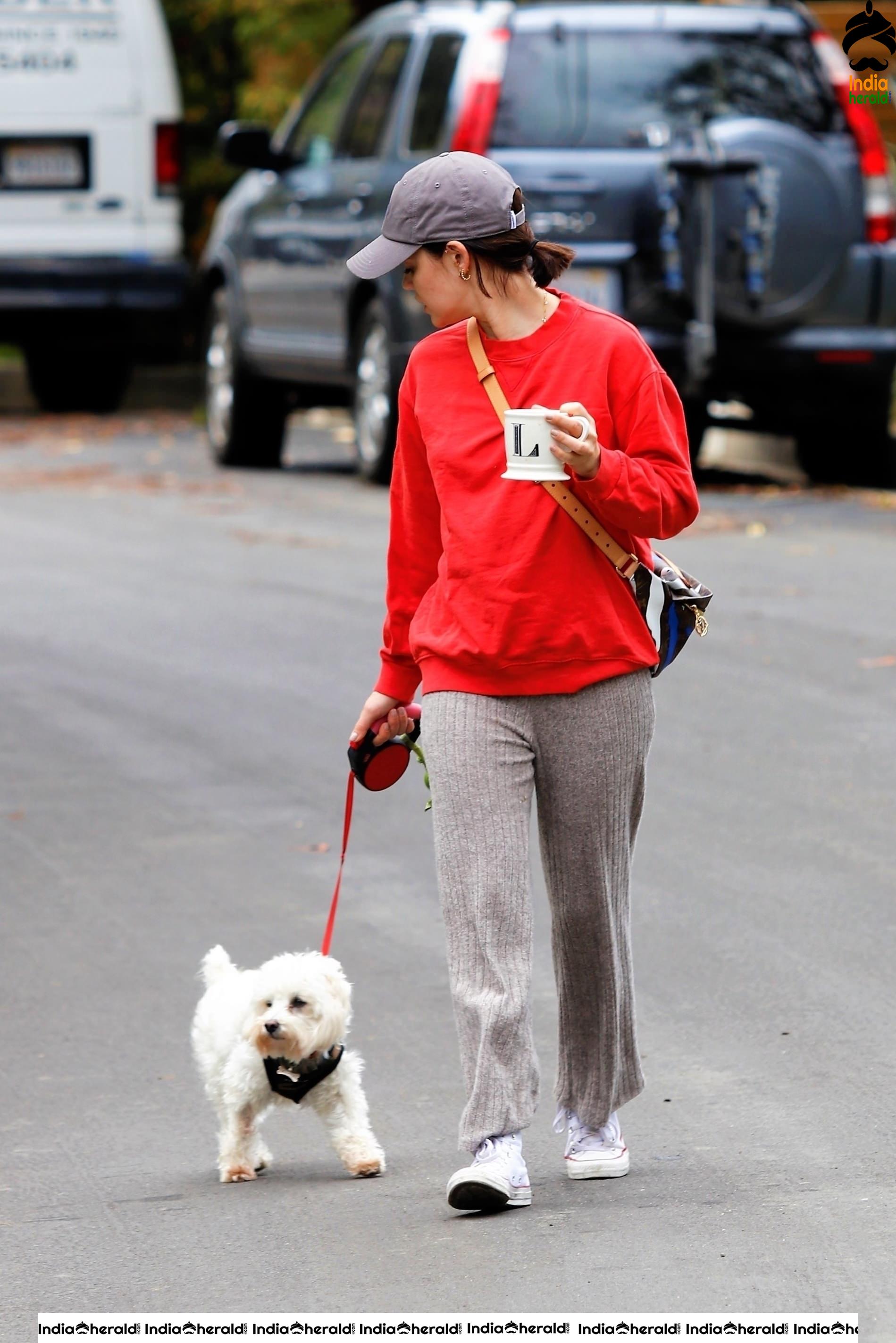 Lucy Hale walking Elvis in Los Angeles during Quarantine